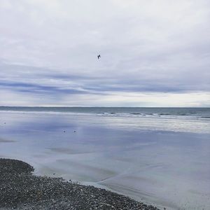 Meet your Posher, Kristyn